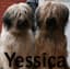 Yessica